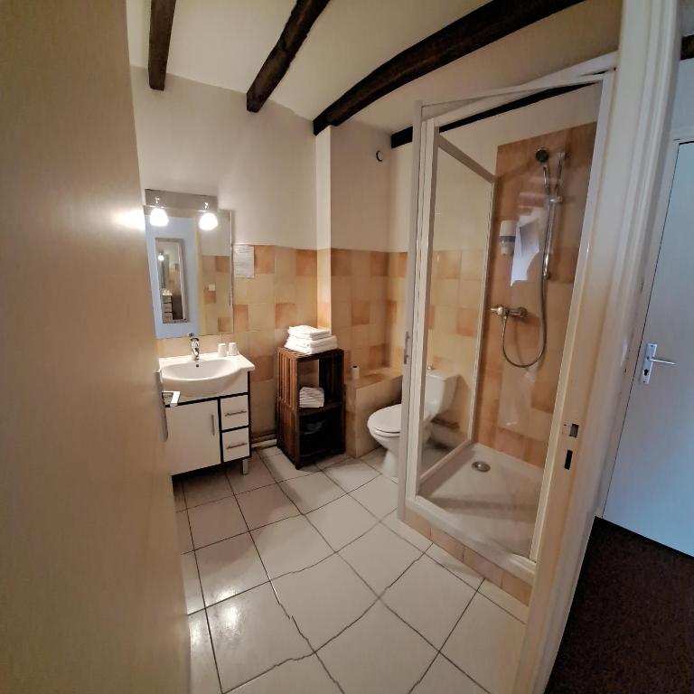Alti'Pic Hôtel - Grande Chambre Double - 6