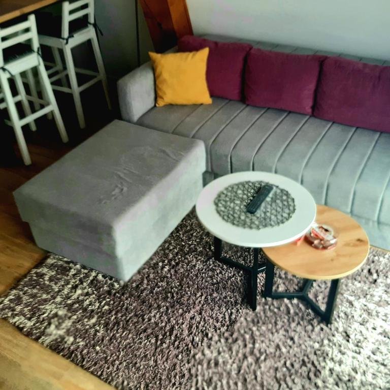 White Eagle Kopaonik - Beli Orao - Apartman sa 2 Spavaće Sobe - 24