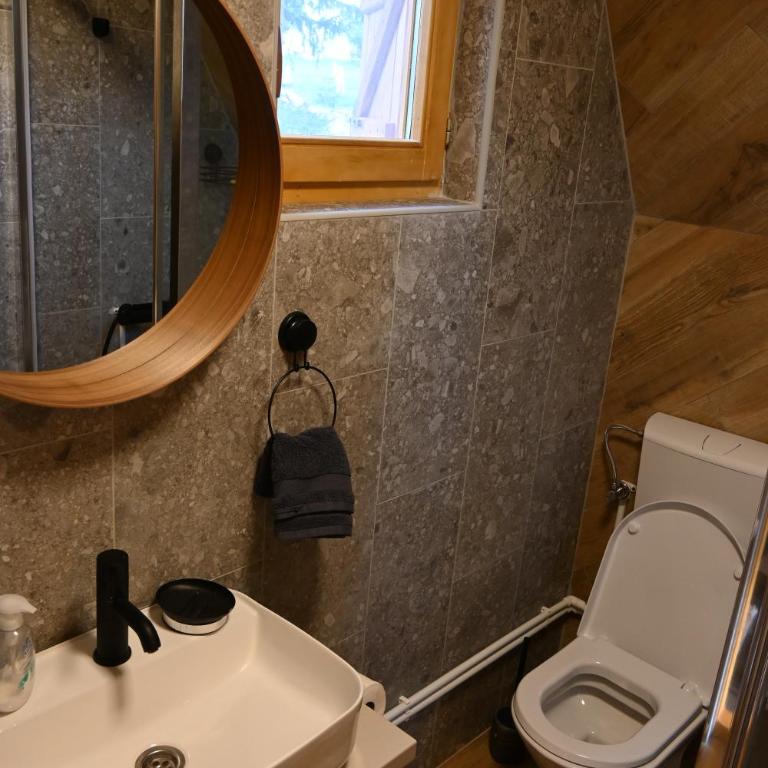 Aleksa’s chalet - Brvnara sa 1 Spavaćom Sobom - 12