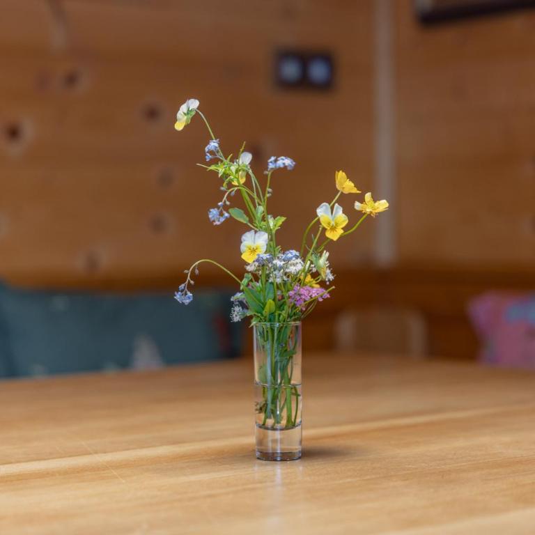 Almhaus Gensbach - Chalet mit 3 Schlafzimmern - 17