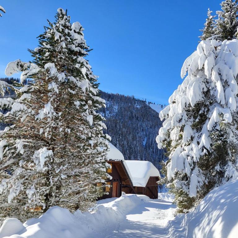 Almhaus Gensbach - Chalet mit 3 Schlafzimmern - 68