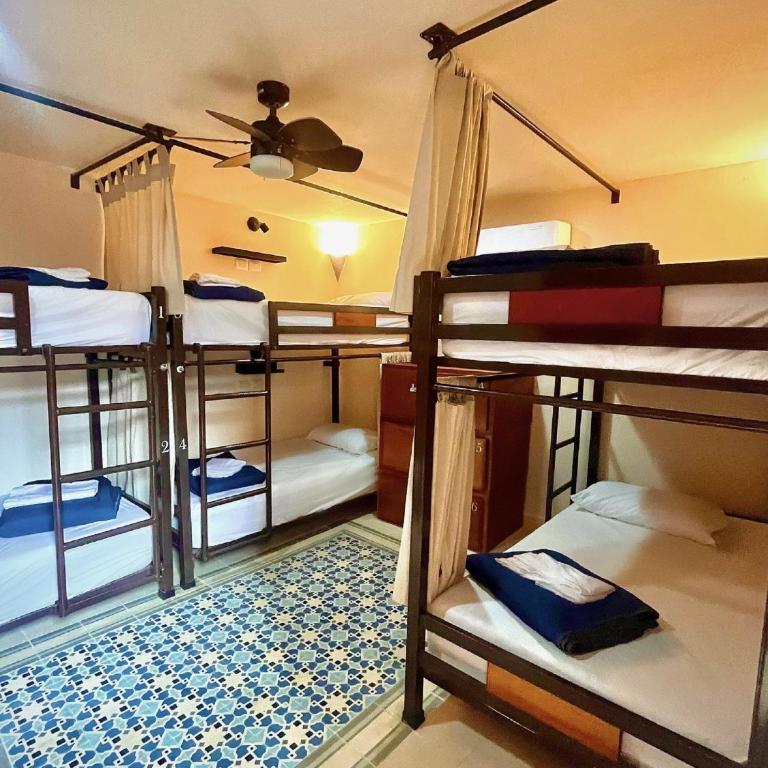 Hotel & Hostal Boutique Casa Garza - Bed in 6-Bed Female Dormitory Room - 3