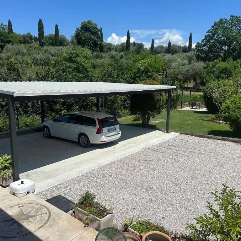 Appartamenti Alice - Appartamento con Vista Giardino - 11