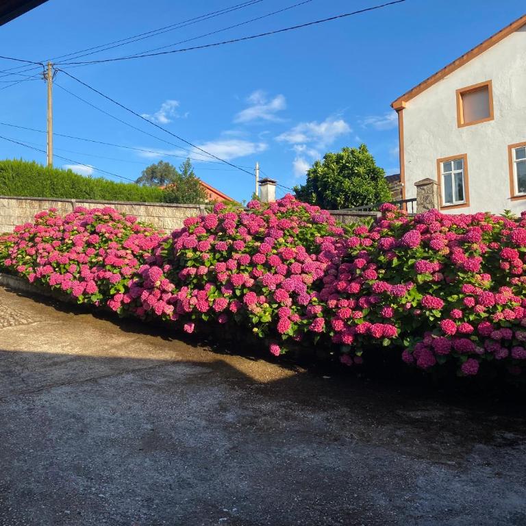 A Retorta - Casa de 3 dormitorios - 4