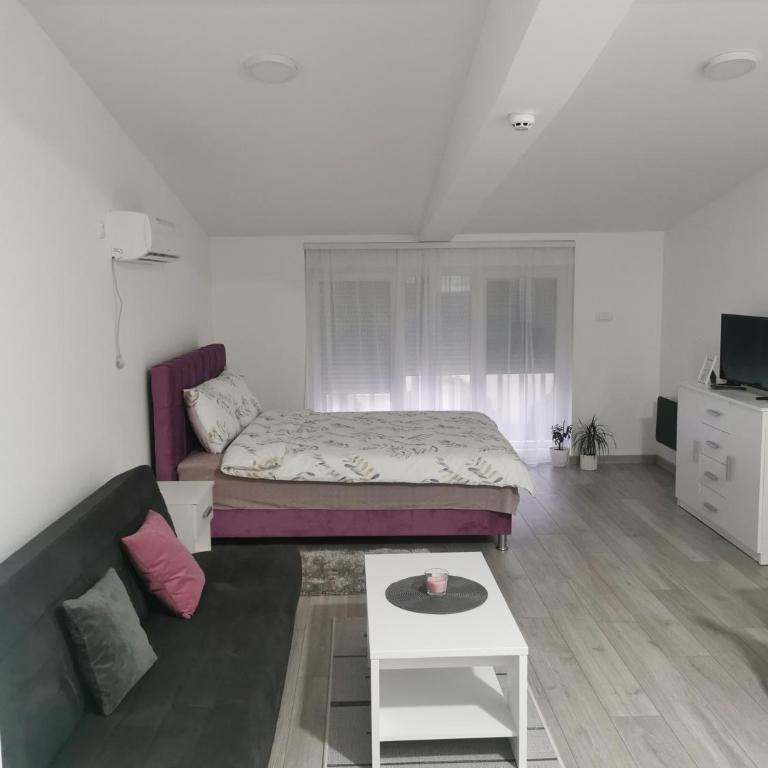 Studio apartmani Banja Koviljaca - Studio - 7