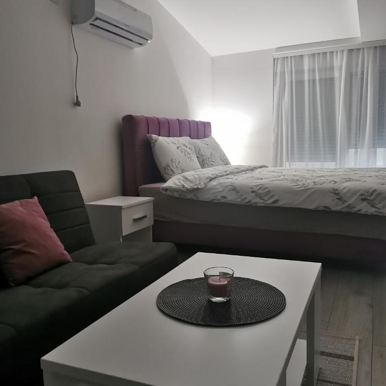 Studio apartmani Banja Koviljaca - Studio - 9