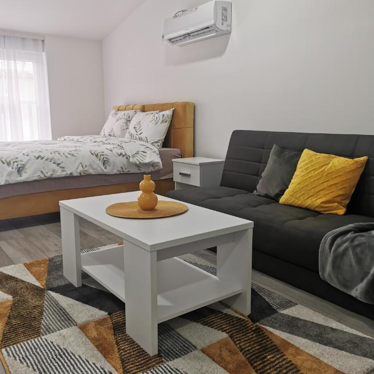 Studio apartmani Banja Koviljaca - Family Studio - 4