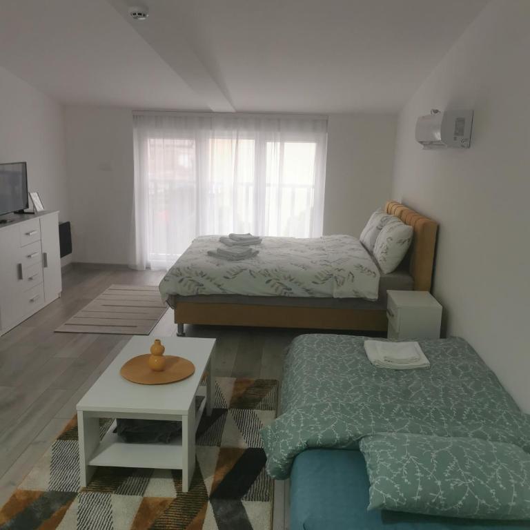 Studio apartmani Banja Koviljaca - Family Studio - 11