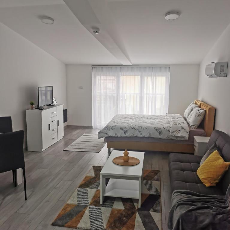 Studio apartmani Banja Koviljaca - Family Studio - 9