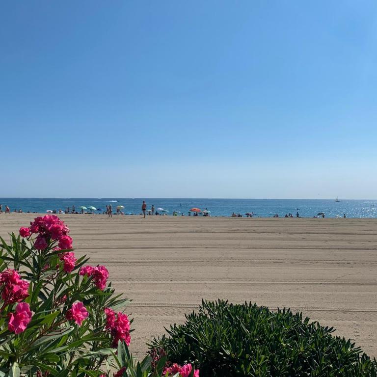 Superbe appartement neuf entre mer et pins Wifi - Apartment mit 1 Schlafzimmer - 38