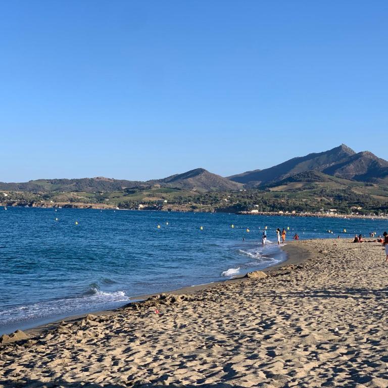 Superbe appartement neuf entre mer et pins Wifi - Apartment mit 1 Schlafzimmer - 43