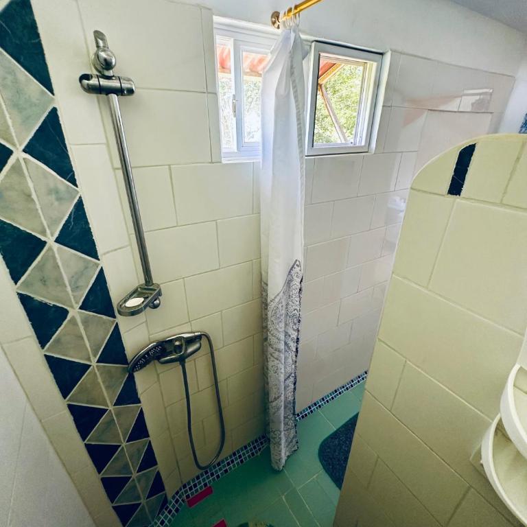 CASA MOSAICO - Estudio Estándar - 7