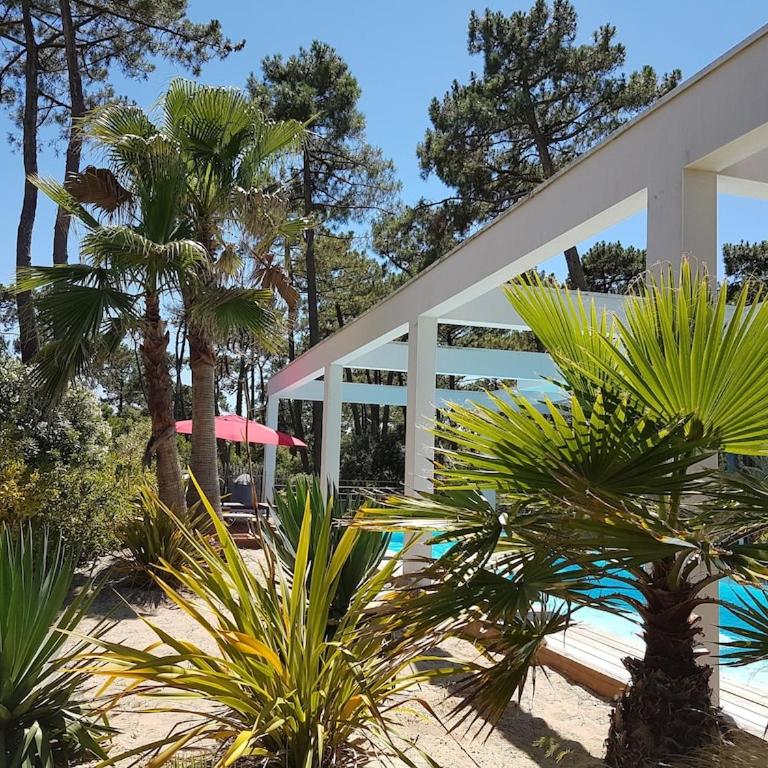 Villa CALIFORNIA Piscine chauffée 14x4m Moulleau Abatilles 10 pers - Villa avec Piscine Privée - 25