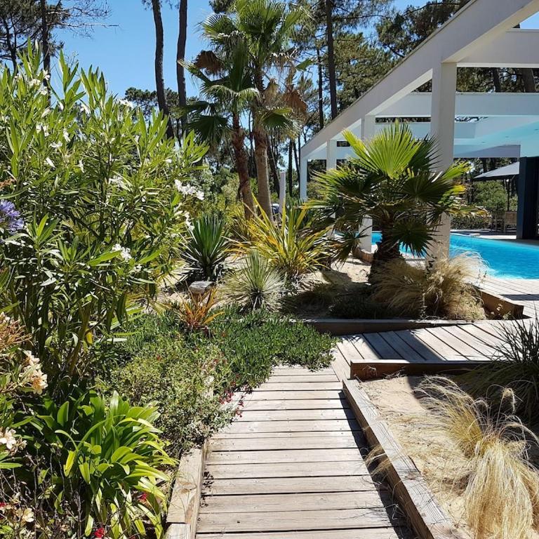 Villa CALIFORNIA Piscine chauffée 14x4m Moulleau Abatilles 10 pers - Villa avec Piscine Privée - 19