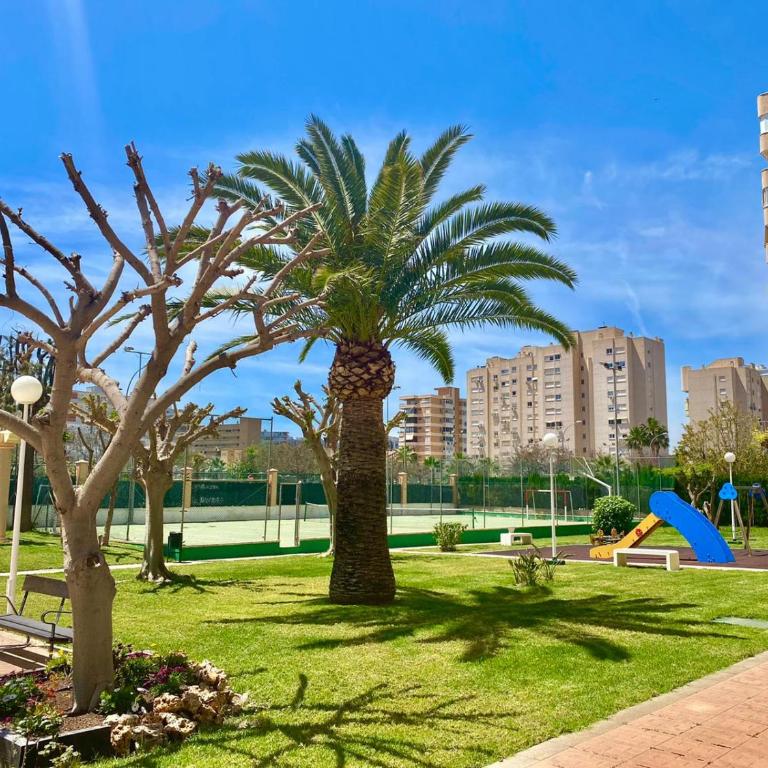 Apartamento Atenas Piscina 4 pax, Inmobiliaria Leo Playa de San Juan - One-Bedroom Apartment - 27