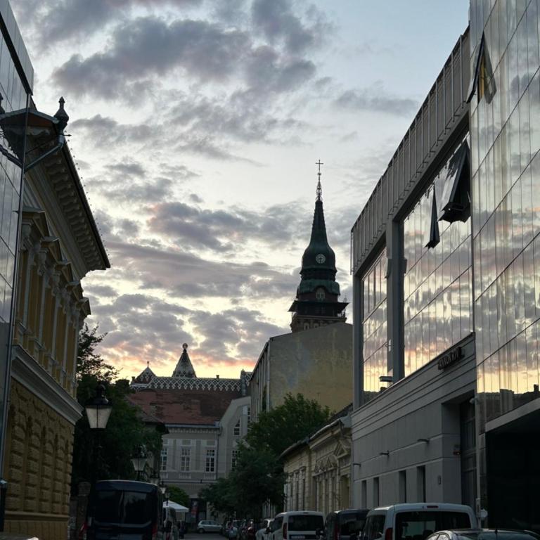 Industrial Studio - Studio with Terrace - 35