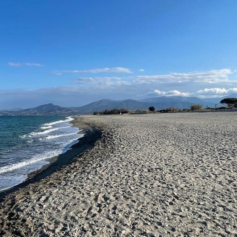 Résidence les Goélettes, logement RDC à 30 m de la plage - Appartement 2 Chambres - 15