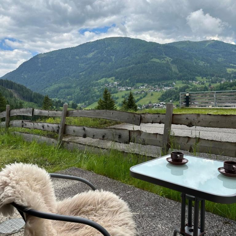 Panoramaalm - Ski in - Ski out - Apartment mit 2 Schlafzimmern - 27