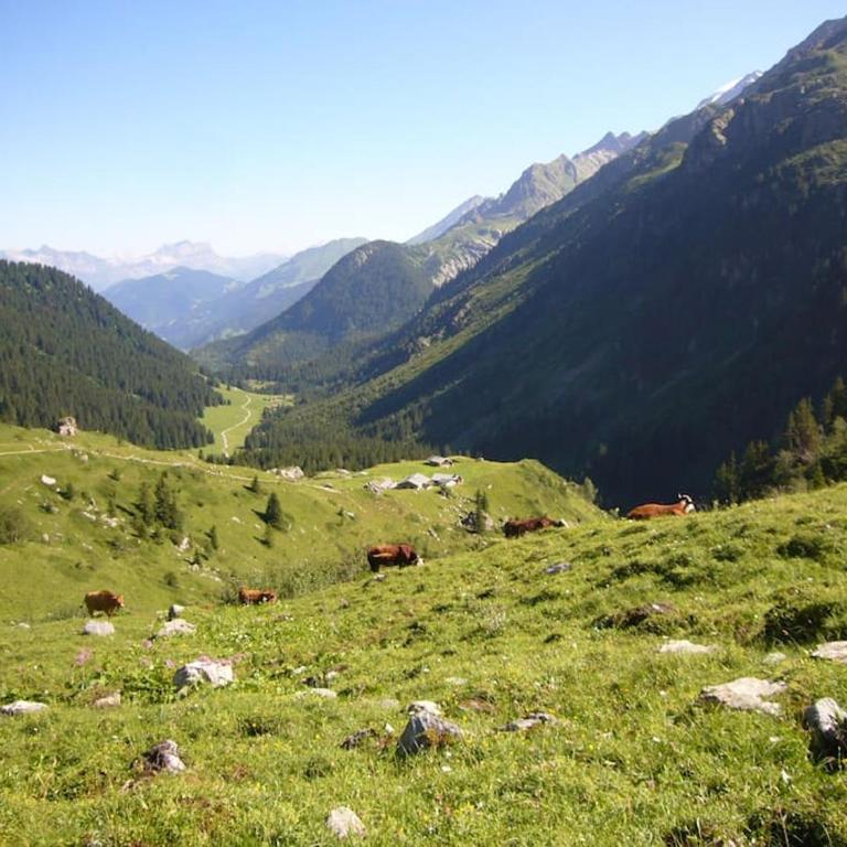 demi chalet Les Contamines Le Virolet - Three-Bedroom Apartment - 19