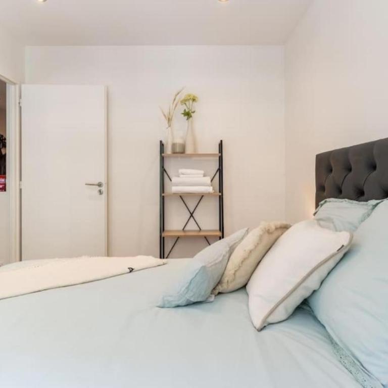 "Le petit bonlieu" au centre ville et à 300 m du lac - Apartment mit 1 Schlafzimmer - 1
