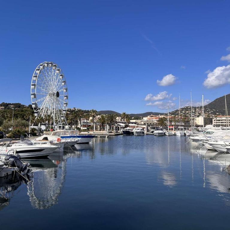 Charmant studio climatisé en rez-de-jardin, proche plage, avec garage privé à Cavalaire-sur-Mer - FR-1-226B-116 - Appartamento - 11