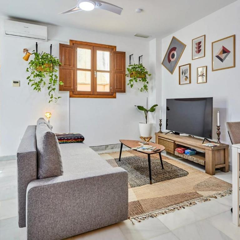 Apartamento Obispo centro Jerez de la Frontera - Apartamento de 1 dormitorio - 1