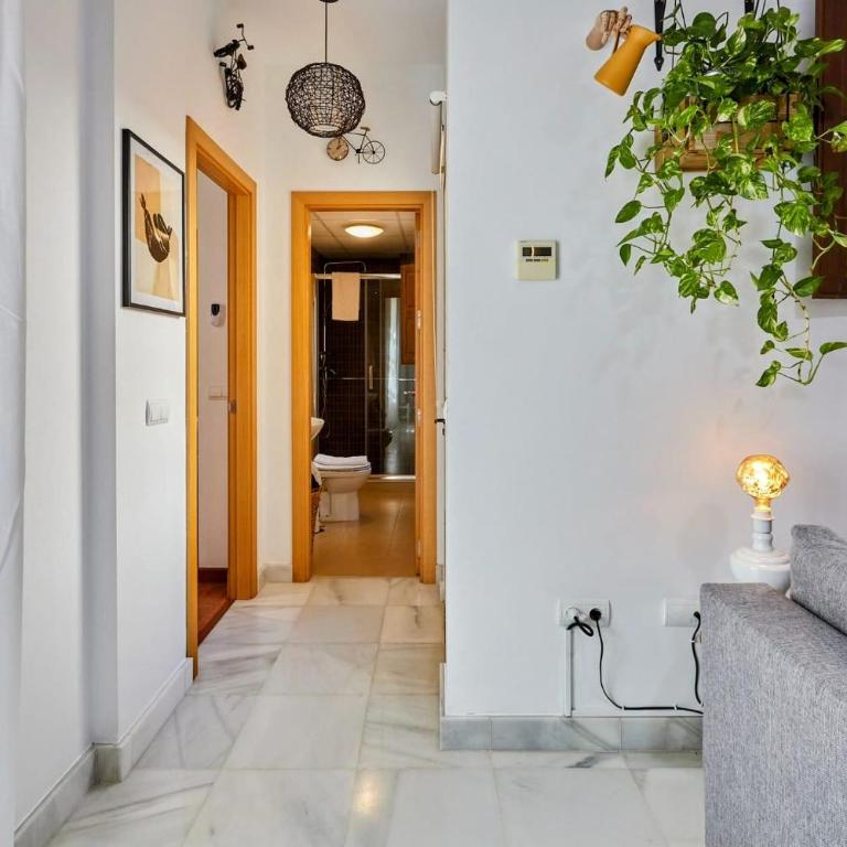Apartamento Obispo centro Jerez de la Frontera - Apartamento de 1 dormitorio - 23