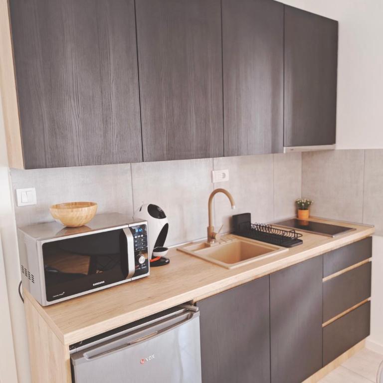 Kovan Lux 11 Sokobanja - Apartman sa 1 Spavaćom Sobom - 42