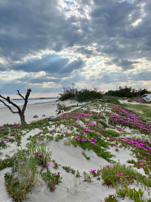 Maison climatisée avec piscine, terrasse et place de parking privative - Two-Bedroom Apartment - 19