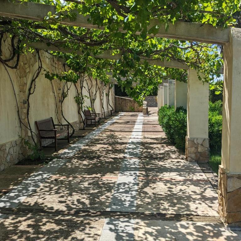 El Collado - Villa with Private Pool - 29