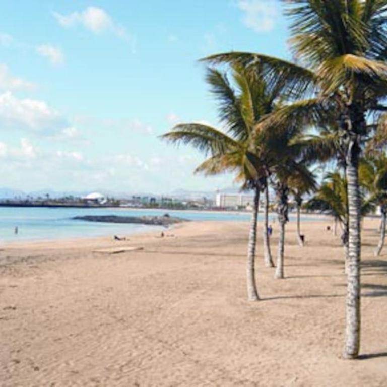 Central apartment in Arrecife - 1 or 2 bedrooms - Apartamento de 2 dormitorios - 14