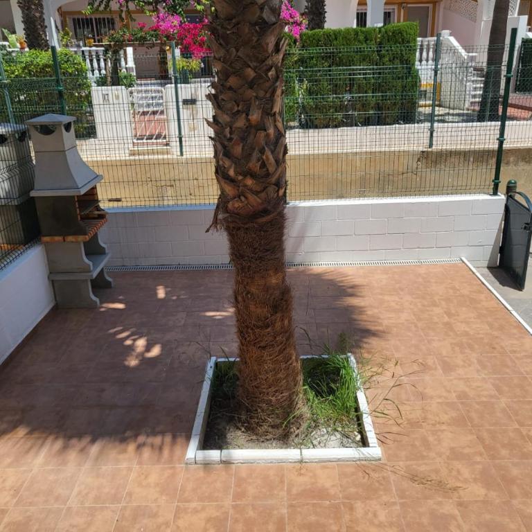 ¡Bajo precioso con salida directa a la piscina comunitaria en Paraíso de Vera! - Apartamento de 2 dormitorios - 72