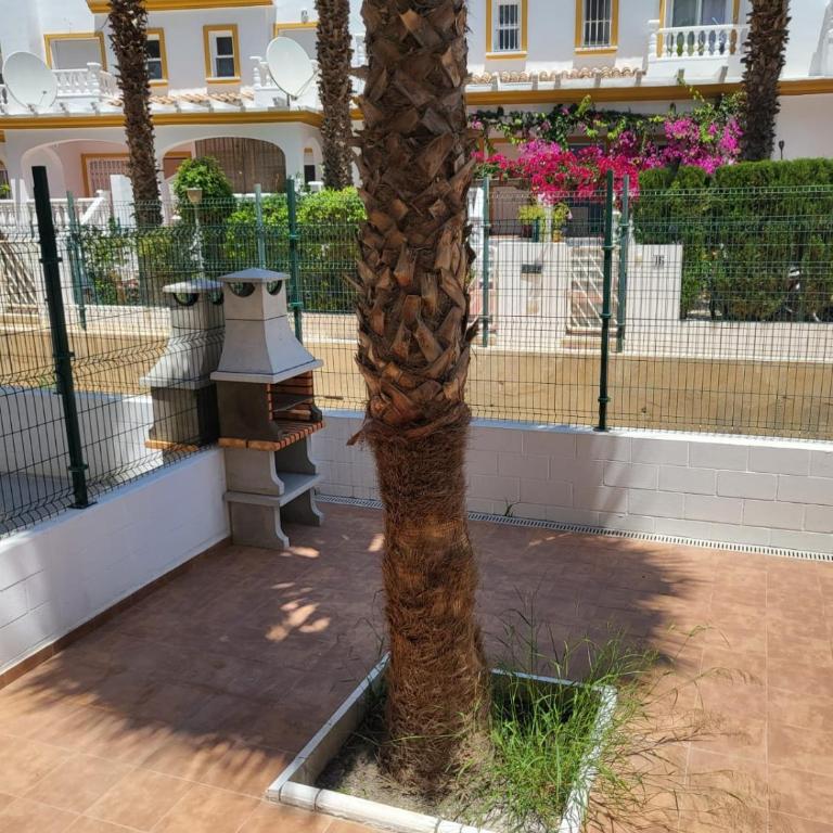 ¡Bajo precioso con salida directa a la piscina comunitaria en Paraíso de Vera! - Apartamento de 2 dormitorios - 5