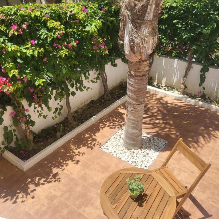 ¡Bajo precioso con salida directa a la piscina comunitaria en Paraíso de Vera! - Apartamento de 2 dormitorios - 92