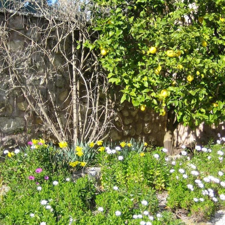 17th Century Stone House, Pool, Air-Conditioned - Villa - 25