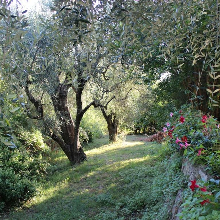 17th Century Stone House, Pool, Air-Conditioned - Villa - 27