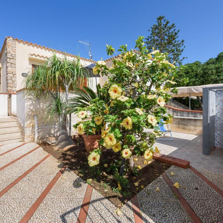 Casa Vacanza Azzurra 3 - Casa Vacanze - 4