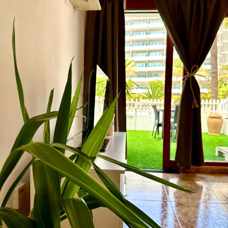 Danubio Beach - Playa del Inglés - Apartamento de 1 dormitorio - 13