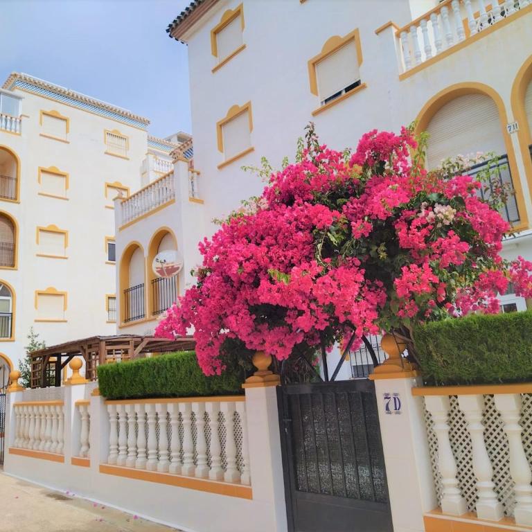 MARINA SUNBEACH LAS MIMOSAS - Two-Bedroom Apartment - 28