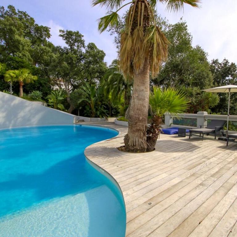 Ref ANTHEA - Palmes d'Or Properties - Deluxe Villa - 8