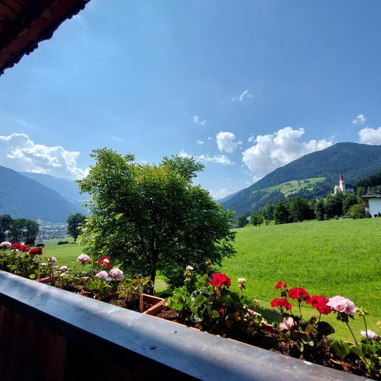 Hof Unterhuben - Doppelzimmer - 15