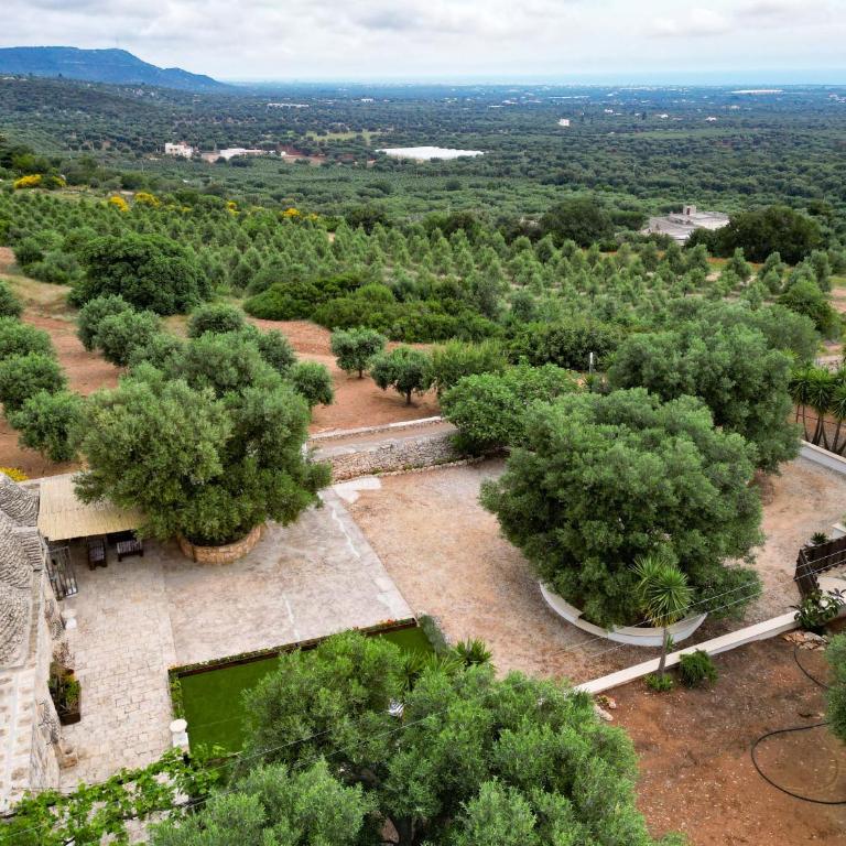Hill Trull - Typical Apulian House - Casa con 1 Camera da Letto - 13