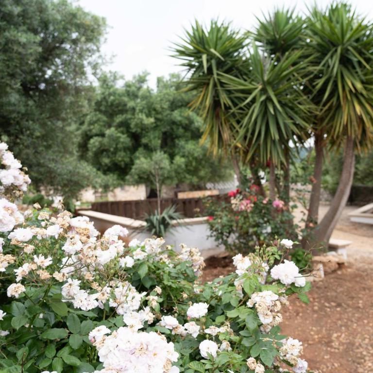 Hill Trull - Typical Apulian House - Casa con 1 Camera da Letto - 48