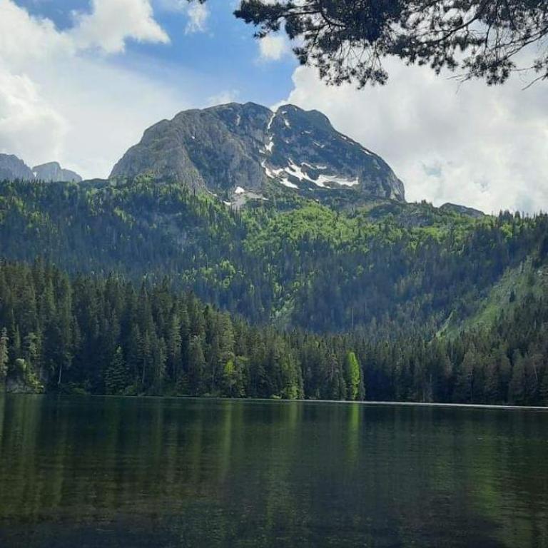 Magic Corner - One-Bedroom House - 32