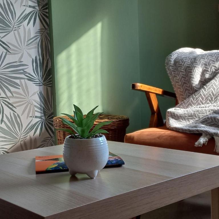 Apartman Central Place - Apartman sa 1 Spavaćom Sobom - 3