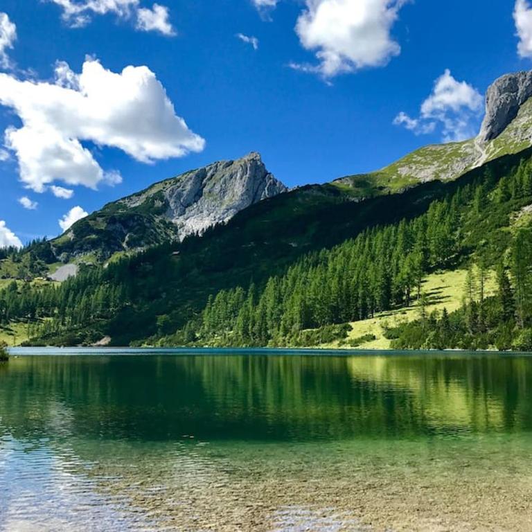 Alpenurlaub II Wohnung mit Traumausblick - Apartment mit 1 Schlafzimmer - 31