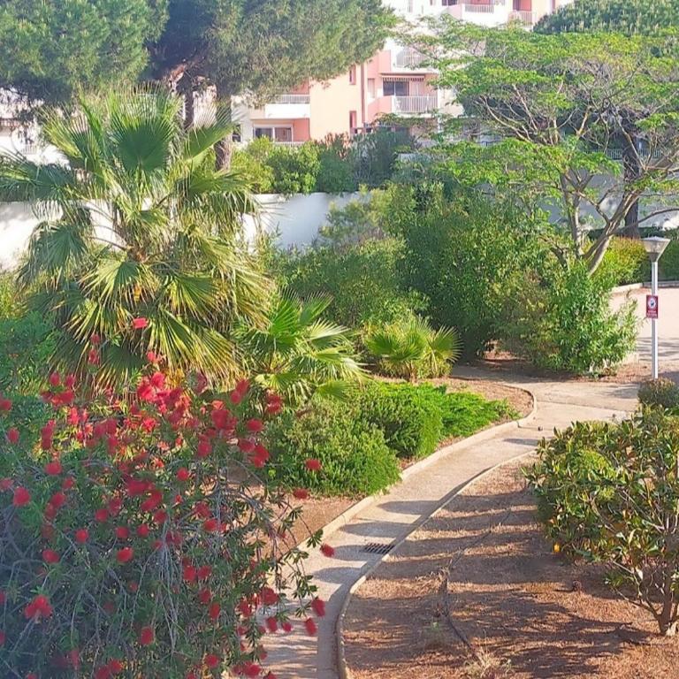 studio pour 4 personnes proche du port et des plages - Appartement 1 Chambre - 7