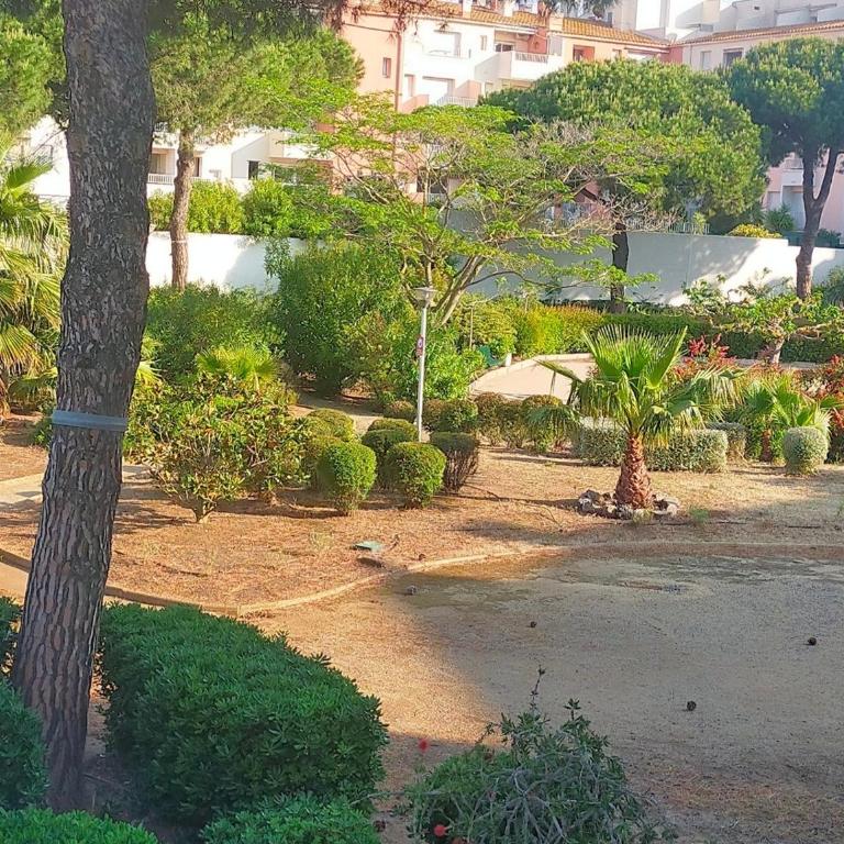 studio pour 4 personnes proche du port et des plages - Appartement 1 Chambre - 18