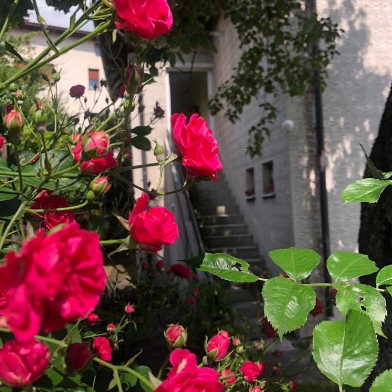 Hedgehog's Home - Ježeva kućica Free Parking - Apartman sa 1 Spavaćom Sobom - 49