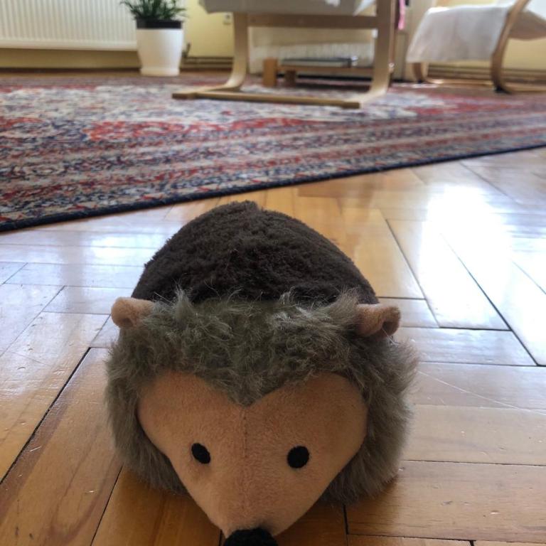 Hedgehog's Home - Ježeva kućica Free Parking - One-Bedroom Apartment - 51